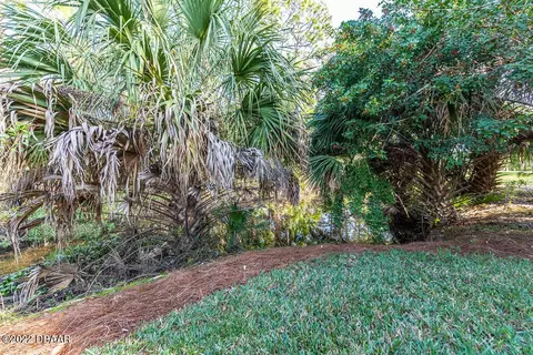 38 Meadow Brooke Ln, Ormond Beach, FL 32174 photo 41