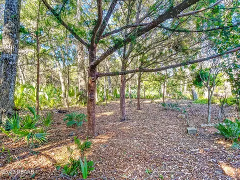 1554 Poplar Dr, Ormond Beach, FL 32174 photo 36