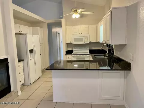 2910 Mango Tree Dr, Edgewater, FL 32141 photo 6