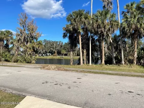 2910 Mango Tree Dr, Edgewater, FL 32141 photo 20
