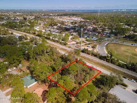 2830 Hibiscus Dr, Edgewater, FL 32141 photo 2