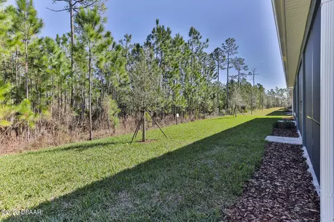 43 Wrendale Loop, Ormond Beach, FL 32174 photo 35