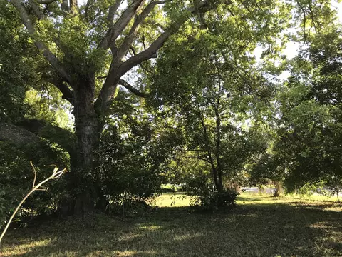 1311 Ave D, Ormond Beach, FL 32174 photo 8