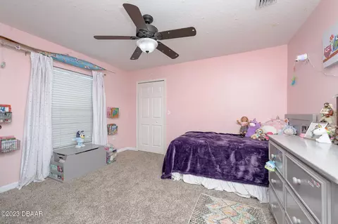 43 Black Pine Way, Ormond Beach, FL 32174 photo 29