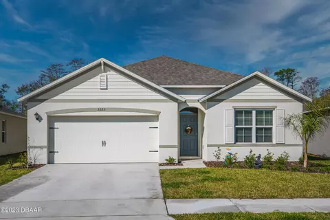 3223 Carpentaria Dr, New Smyrna Beach, FL 32168