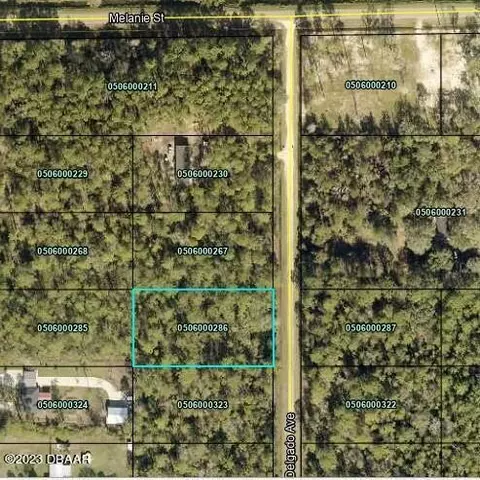 10035 Delgado Ave, Hastings, FL 32145