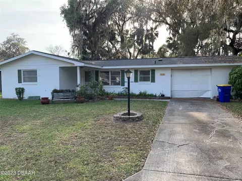 2224 Mango Tree Dr, Edgewater, FL 32141 photo 1