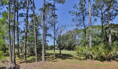 1467 Carlow Cir, Ormond Beach, FL 32174 photo 34