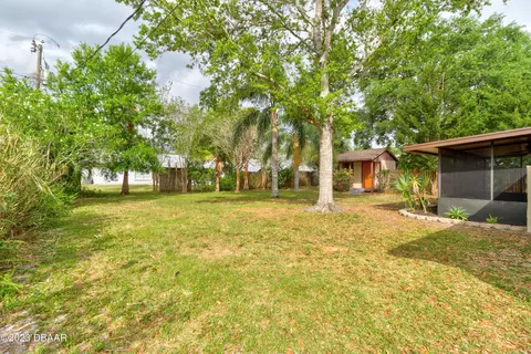 3212 Pine Tree Dr, Edgewater, FL 32141 photo 24