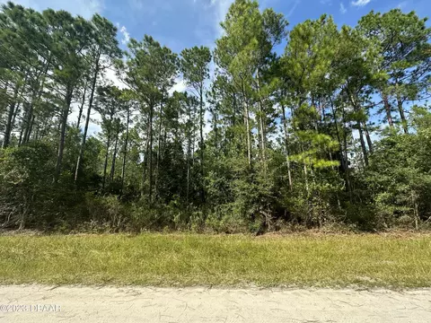 5542 Buckeye Ln, Bunnell, FL 32110
