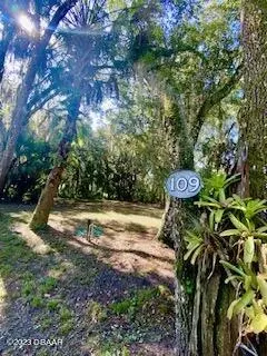 109 Beechers Point Dr, Welaka, FL 32193