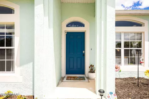 2603 Umbrella Tree Dr, Edgewater, FL 32141 photo 5