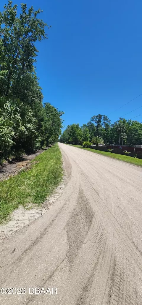 3798 Arbor Ave, Bunnell, FL 32110 photo 6