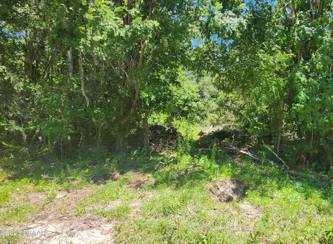 3798 Arbor Ave, Bunnell, FL 32110 photo 3