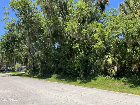 2429 Needle Palm Dr, Edgewater, FL 32141