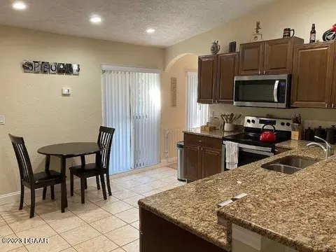 3103 Needle Palm Dr, Edgewater, FL 32141 photo 11
