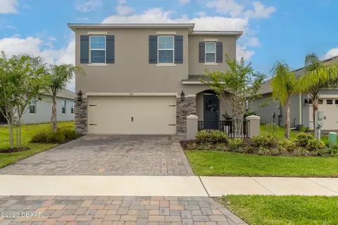 225 Caryota Ct, New Smyrna Beach, FL 32168