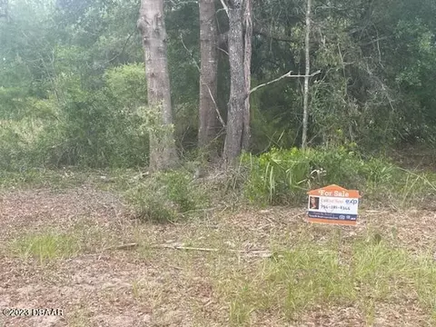 0 Orange Blossom St, Pomona Park, FL 32181