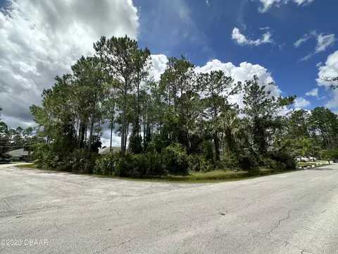 5 Slumber Meadow Trl, Palm Coast, FL 32164