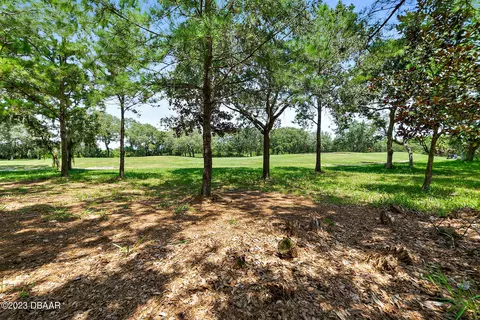 1450 Dolph Cir, Ormond Beach, FL 32174 photo 67