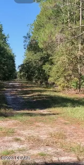 207 Terri Ave, Georgetown, FL 32139