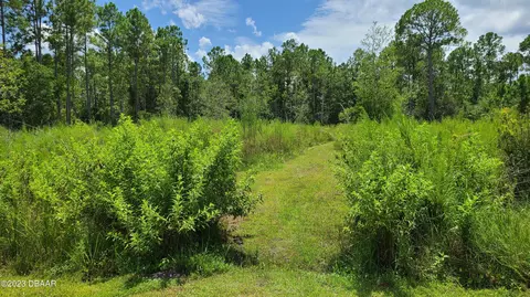 5894 Elm Ave, Bunnell, FL 32110