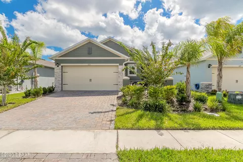 231 Caryota Ct, New Smyrna Beach, FL 32168