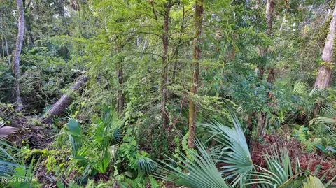 9 River Ridge Trl, Ormond Beach, FL 32174 photo 42