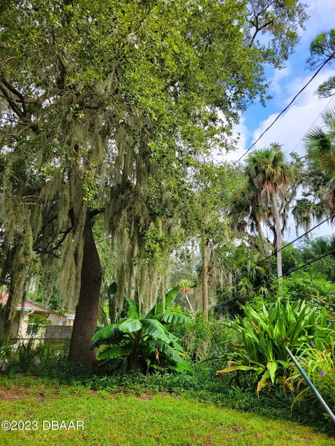 2327 Pine Tree Dr, Edgewater, FL 32141 photo 8