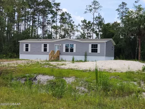 103 White Pine Ln, Georgetown, FL 32139 photo 1