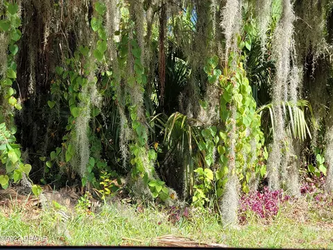 175 S Washington St, Ormond Beach, FL 32174 photo 4