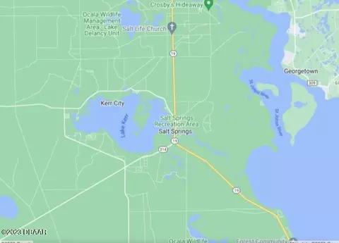 25338 25338 Ne 140th Lot 300 St, Salt Springs, FL 32134