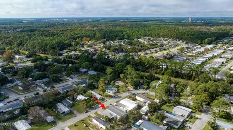 1304 Myrtle Jo Dr, Ormond Beach, FL 32174 photo 60