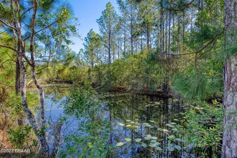 374 Sugar Pine Ln, Ormond Beach, FL 32174 photo 4