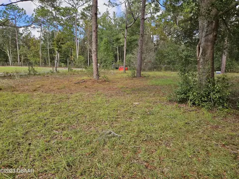 105 James Ave, Interlachen, FL 32148