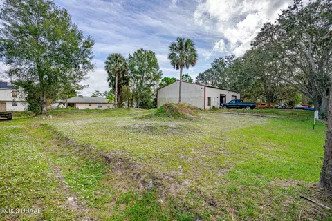 2421 Guava Dr, Edgewater, FL 32141 photo 5
