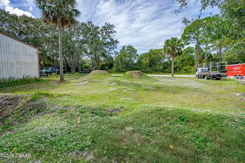 2421 Guava Dr, Edgewater, FL 32141 photo 6