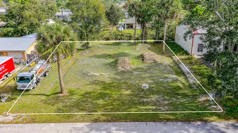 2421 Guava Dr, Edgewater, FL 32141 photo 8
