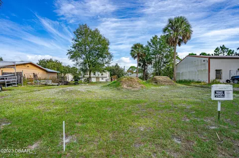 2421 Guava Dr, Edgewater, FL 32141 photo 3