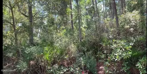 122 Juniper Rd, Georgetown, FL 32139