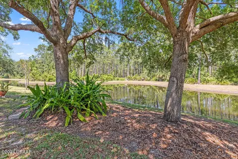 1123 Hansberry Ct, Ormond Beach, FL 32174 photo 38