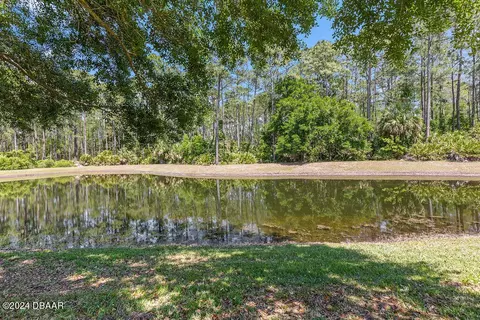 1123 Hansberry Ct, Ormond Beach, FL 32174 photo 35