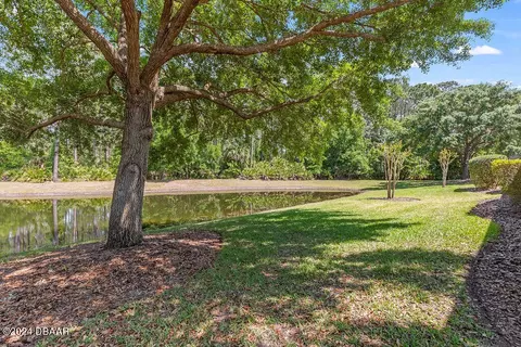 1123 Hansberry Ct, Ormond Beach, FL 32174 photo 37