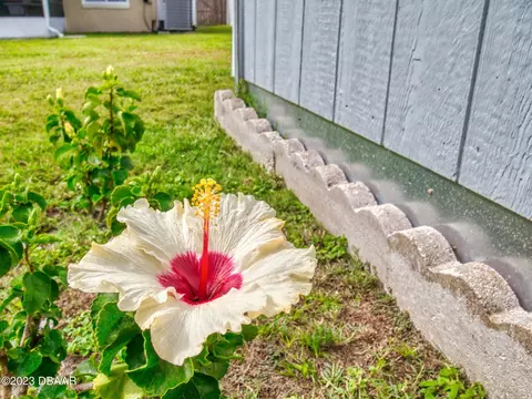 3207 Unity Tree Dr, Edgewater, FL 32141 photo 43