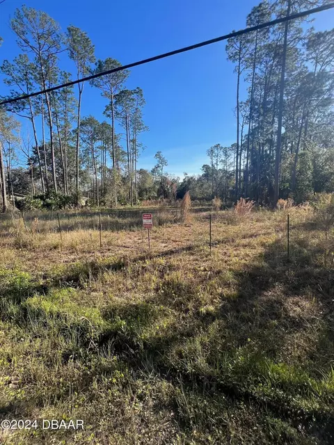 4038 Clove Ave, Bunnell, FL 32110 photo 3