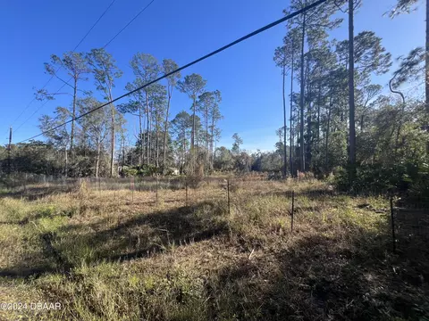 4038 Clove Ave, Bunnell, FL 32110 photo 5