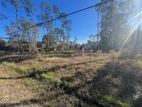 4038 Clove Ave, Bunnell, FL 32110