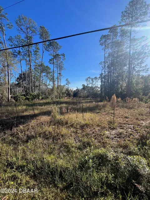 4038 Clove Ave, Bunnell, FL 32110 photo 4
