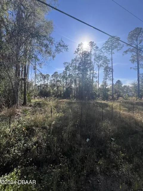 4038 Clove Ave, Bunnell, FL 32110 photo 2