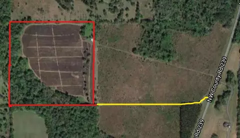 27824 N County Rd 239, Alachua, FL 32615